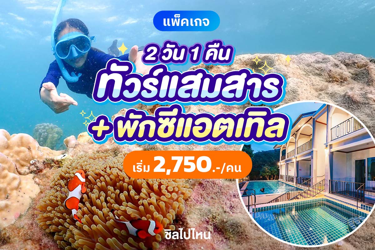 แพ็คเกจดำน้ำแสมสาร เรือสปีทโบ๊ท(เหมาลำ) พักที่ ซีแอตเทิล แสมสาร รีสอร์ท + อาหารเช้า สัตหีบ ชลบุรี