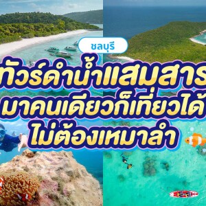 ทริปดำน้ำแสมสาร เรือสปีดโบ๊ท (จอยทริป) สัตหีบ ชลบุรี