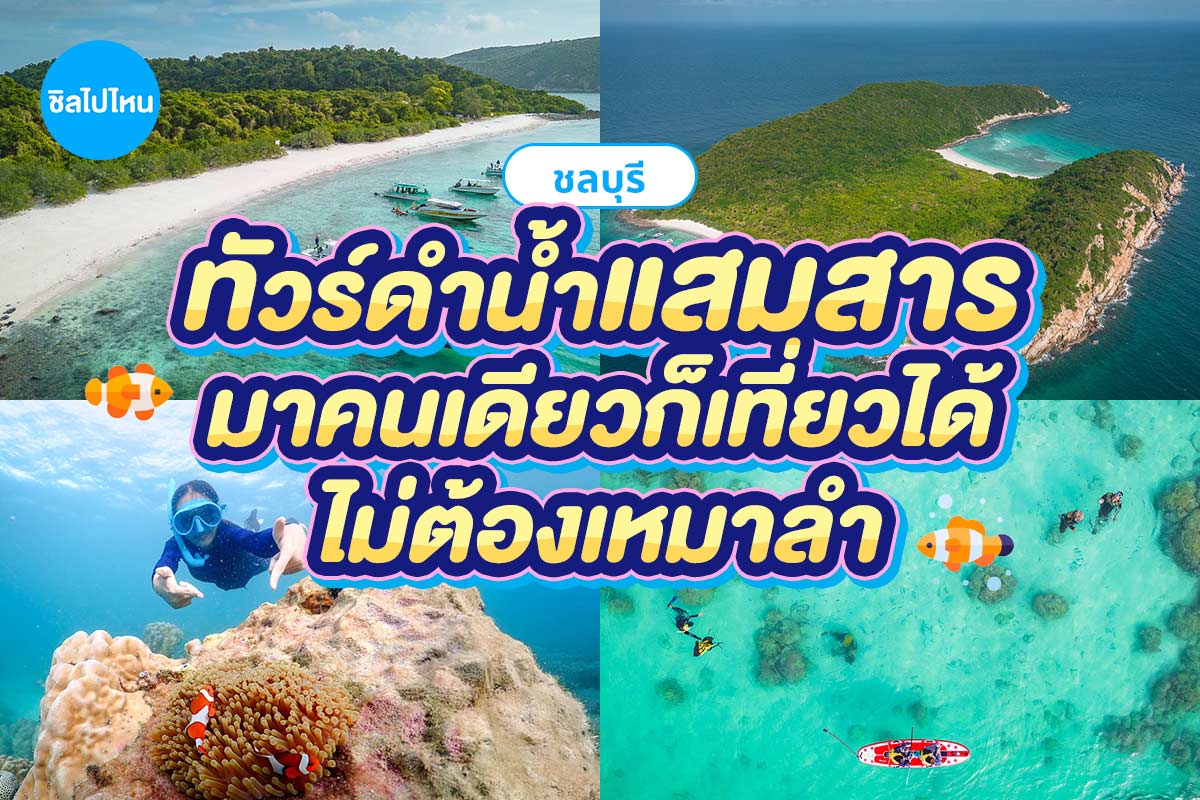 ทริปดำน้ำแสมสาร เรือสปีดโบ๊ท (จอยทริป) สัตหีบ ชลบุรี