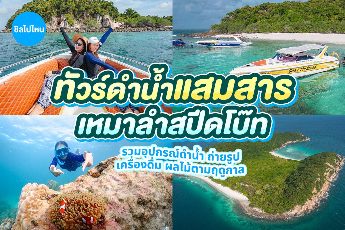 ทริปดำน้ำ + ตกปลา + ตึกหมึกแสมสาร เรือสปีดโบ๊ท (เหมาลำ) สำหรับ 1-6 ท่าน, สัตหีบ ชลบุรี