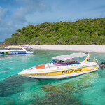 ทริปดำน้ำแสมสาร เรือสปีดโบ้ท (เหมาลำ) สำหรับ 1-6 ท่าน, สัตหีบ ชลบุรี