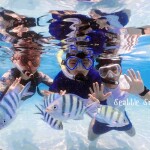 ทริปดำน้ำแสมสาร เรือสปีดโบ้ท (เหมาลำ) สำหรับ 1-6 ท่าน, สัตหีบ ชลบุรี