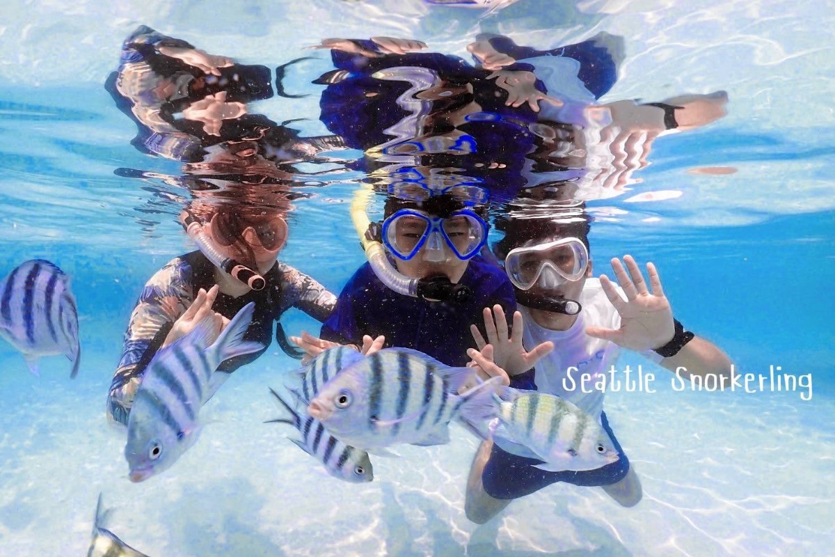 ทริปดำน้ำแสมสาร เรือสปีดโบ้ท (เหมาลำ) สำหรับ 1-6 ท่าน, สัตหีบ ชลบุรี