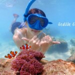ทริปดำน้ำแสมสาร เรือสปีดโบ้ท (เหมาลำ) สำหรับ 1-6 ท่าน, สัตหีบ ชลบุรี