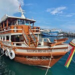 One day trip : ล่องเรือไม้ Seattle Star ดำน้ำอ่าวแสมสาร (เหมาลำ 15 ท่าน), สัตหีบ ชลบุรี