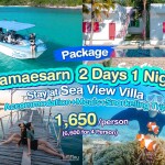 แพ็คเกจดำน้ำแสมสาร เรือสปีทโบ๊ท(เหมาลำ)+บ้านพัก+อาหาร 2 มื้อ , Sea View Villa @แสมสาร สัตหีบ ชลบุรี