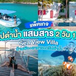 แพ็คเกจดำน้ำแสมสาร เรือสปีทโบ๊ท(เหมาลำ)+บ้านพัก+อาหาร 2 มื้อ , Sea View Villa @แสมสาร สัตหีบ ชลบุรี