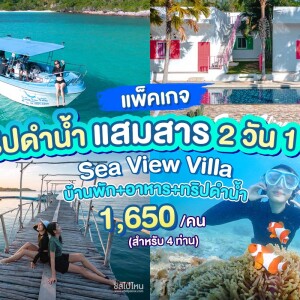 แพ็คเกจดำน้ำแสมสาร เรือสปีทโบ๊ท(เหมาลำ)+บ้านพัก+อาหาร 2 มื้อ , Sea View Villa @แสมสาร สัตหีบ ชลบุรี