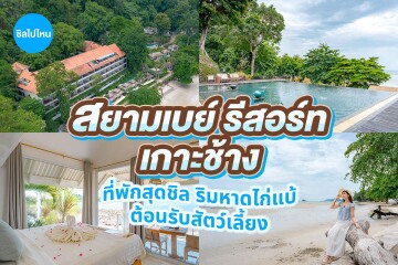 Siam Bay Resort Koh Chang (สยามเบย์ รีสอร์ท เกาะช้าง) ห้อง Seaview Bungalow 2 ท่าน ,เกาะช้าง