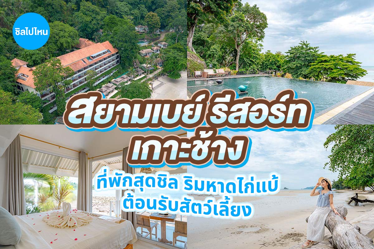 Siam Bay Resort Koh Chang (สยามเบย์ รีสอร์ท เกาะช้าง) ห้อง Seaside Bungalow 2 ท่าน ,เกาะช้าง