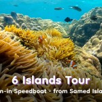 One Day Trip : ดำน้ำเกาะเสม็ด เที่ยว 6 เกาะ (จอยทริป), เกาะเสม็ด