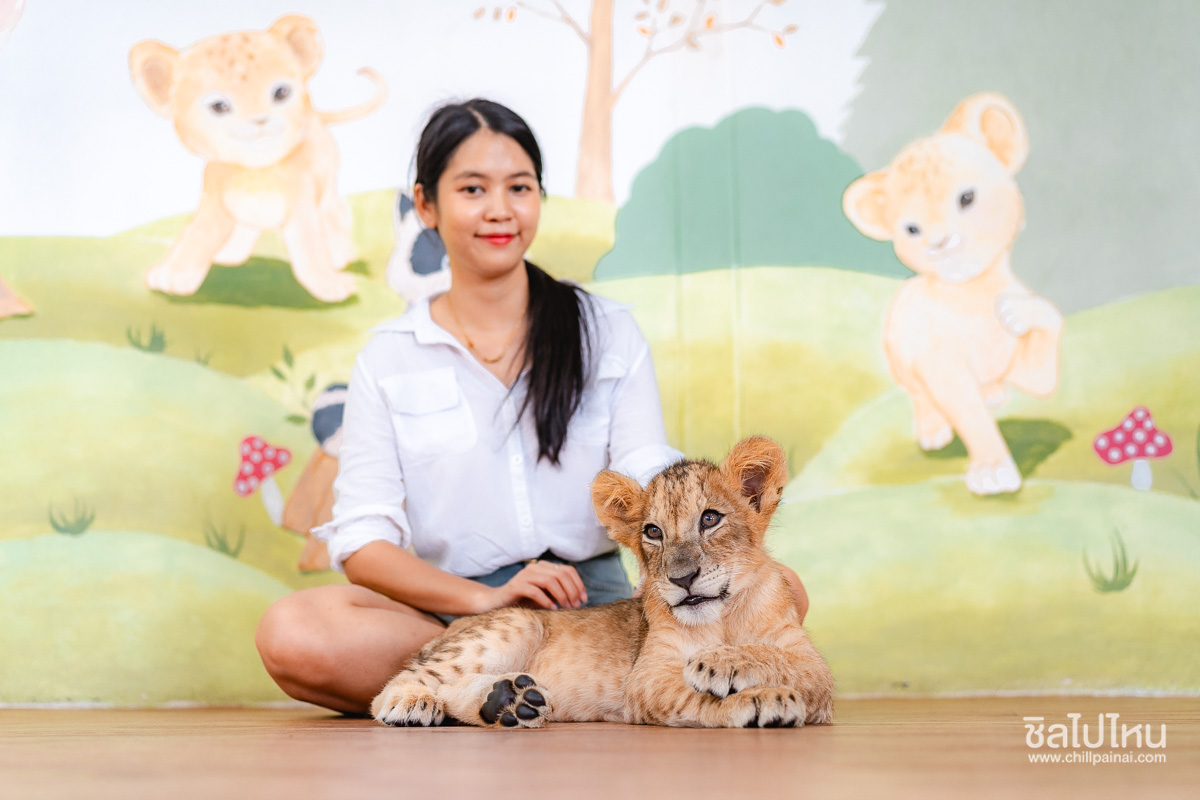 Siri Park & Zoo (ศิริพาร์ค แอนด์ ซู) บัตรเข้าชมสวนเสือศรีราชา สวนสัตว์ที่ครอบครัวพาเด็กๆไปสนุกกับสัวต์ต่างๆ ,ชลบุรี