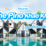 The Pino Khao Kho (เดอะ พีโน่ เขาค้อ) ห้อง Honeymoon Suite 2 ท่าน, เขาค้อ