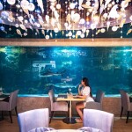 The Sanctuary Resort Pattaya, BW Signature Collection (เดอะ แซงชัวรี่ รีสอร์ท พัทยา, บีดับเบิลยู ซิกเนเจอร์ คอลเลคชั่น) ห้อง Junior Suite 2 ท่าน, พัทยา