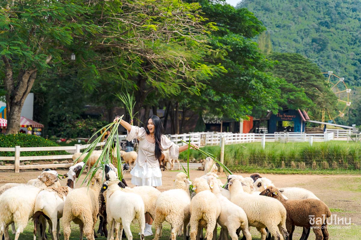 บัตรเข้าฟาร์ม The Scenery Vintage Farm : COMBO250 คูปองซุ้มเกม+คูปองแลกหญ้า+คูปองแลกขนม+คูปองป้อนนม+คูปองนั่งม้าหมุน