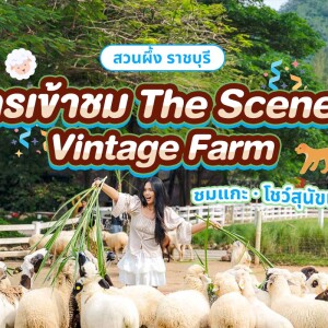 บัตรเข้าฟาร์ม The Scenery Vintage Farm : COMBO250 คูปองซุ้มเกม+คูปองแลกหญ้า+คูปองแลกขนม+คูปองป้อนนม+คูปองนั่งม้าหมุน