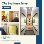 ตั๋วโดยสารเรือเฟอร์รี่ The Seahorse Ferry กรุงเทพ - สมุย