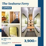 ตั๋วโดยสารเรือเฟอร์รี่ The Seahorse Ferry กรุงเทพ - สมุย