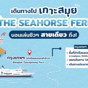 ตั๋วโดยสารเรือเฟอร์รี่ The Seahorse Ferry กรุงเทพ - สมุย