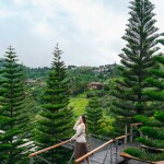 The Terrace View Resort (เดอะเทอเรสวิว รีสอร์ต แอท เขาค้อ) ห้อง Standard (V6 / V10) 2 ท่าน, เขาค้อ