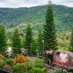 The Terrace View Resort (เดอะเทอเรสวิว รีสอร์ต แอท เขาค้อ) ห้อง Standard (V6 / V10) 2 ท่าน, เขาค้อ