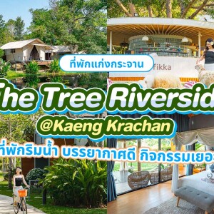 The Tree Riverside Kaeng Krachan (เดอะทรี ริเวอร์ไซด์ รีสอร์ท) ห้อง Superior 2 ท่าน ,แก่งกระจาน