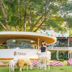The Tree Riverside Kaeng Krachan (เดอะทรี ริเวอร์ไซด์ รีสอร์ท) ห้อง Superior 2 ท่าน ,แก่งกระจาน