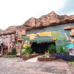 บัตรเข้าชมสวนเสือ Tiger Topia Zoo ศรีราชา 1 ท่าน, ศรีราชา