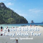 甲米四岛海分沙洲之旅 · 拼团快艇