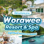 Worawee Resort and Spa (วรวีร์ รีสอร์ท แอนด์ สปา) ห้อง บ้านริมทาง 2 ท่าน ,แก่งกระจาน