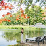Worawee Resort and Spa (วรวีร์ รีสอร์ท แอนด์ สปา) ห้อง บ้านริมทาง 2 ท่าน ,แก่งกระจาน