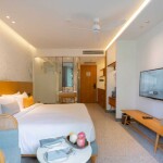 แพ็คเกจภูเก็ต 3 วัน 2 คืน พักที่ Wyndham Garden Phuket Kamala Phuket + เดย์ทริปพีพี + อ่าวมาหยา + เกาะไข่ + ปิเละ หรือ ล่องเรือ เกาะเฮ + รถเช่า 48 ชม.